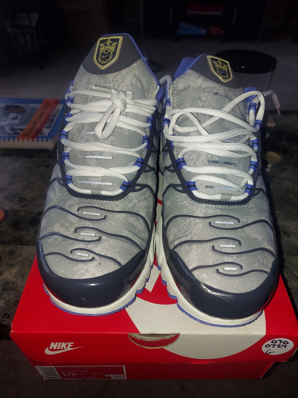 Nike Gray and Blue Air Msx Plus SE